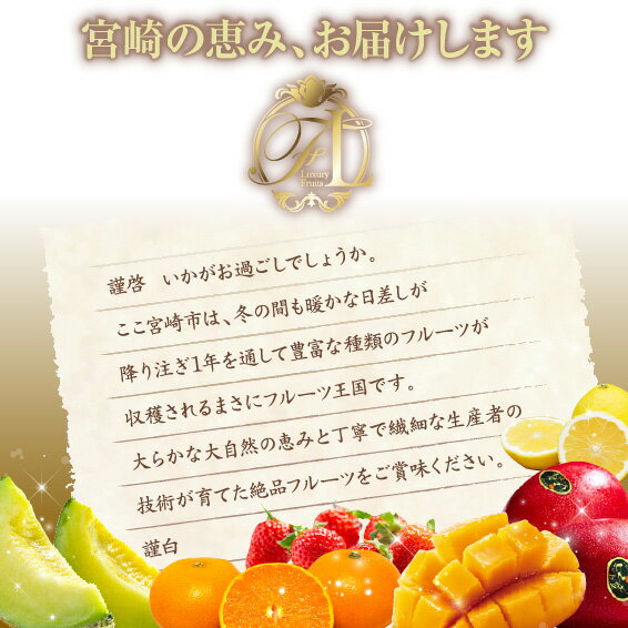 【ふるさと納税】《2026年発送先行予約》【数量・期間限定】旬のくだもの【極】定期便【全6回】 果物 フルーツ 定期便 日向夏 いちご せとか メロン マンゴー 太陽のタマゴ 種無し日向夏 完熟マンゴー 旬 季節 旬の果物 季節の果物 グルメ 宮崎県 宮崎市 サムネイル2