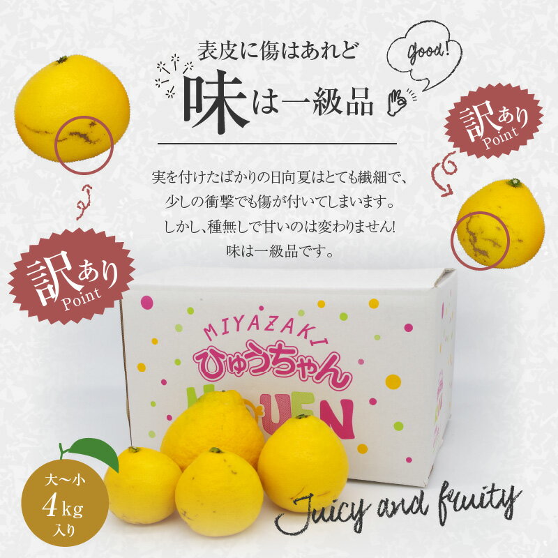 【ふるさと納税】《2026年発送》【数量・期間限定】【訳あり】ハウス種無し日向夏 家庭用(大～小混4kg) | みかん 訳ありみかん 蜜柑 柑橘 種無し フルーツ 訳あり 訳アリ 食品 果物 不揃い 大容量 お取り寄せ 予約 ご家庭用 | - 画像3