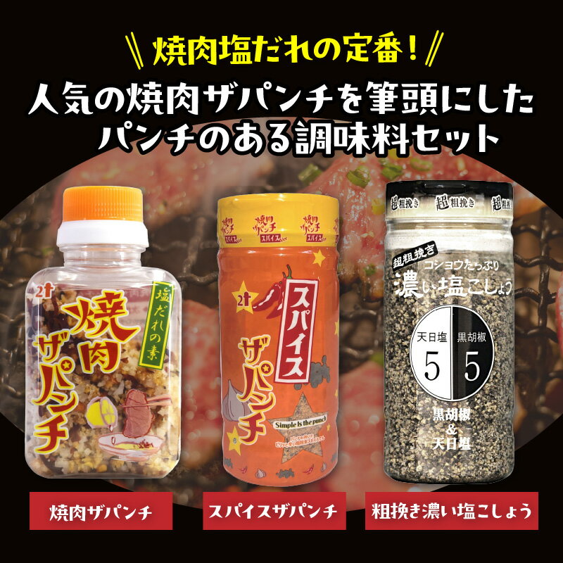 【ふるさと納税】焼肉ザパンチ スパイスザパンチ 粗挽き濃い塩こしょう 3点 セット 調味料 詰め合わせ 料理 調味 スパイス 隠し味 粗びき 塩こしょう たれ アクセント 塩だれの素 ローストガーリック 黒胡椒 スパイシー グルメ お取り寄せ おすすめ 宮崎県 宮崎市 送料無料 サムネイル2