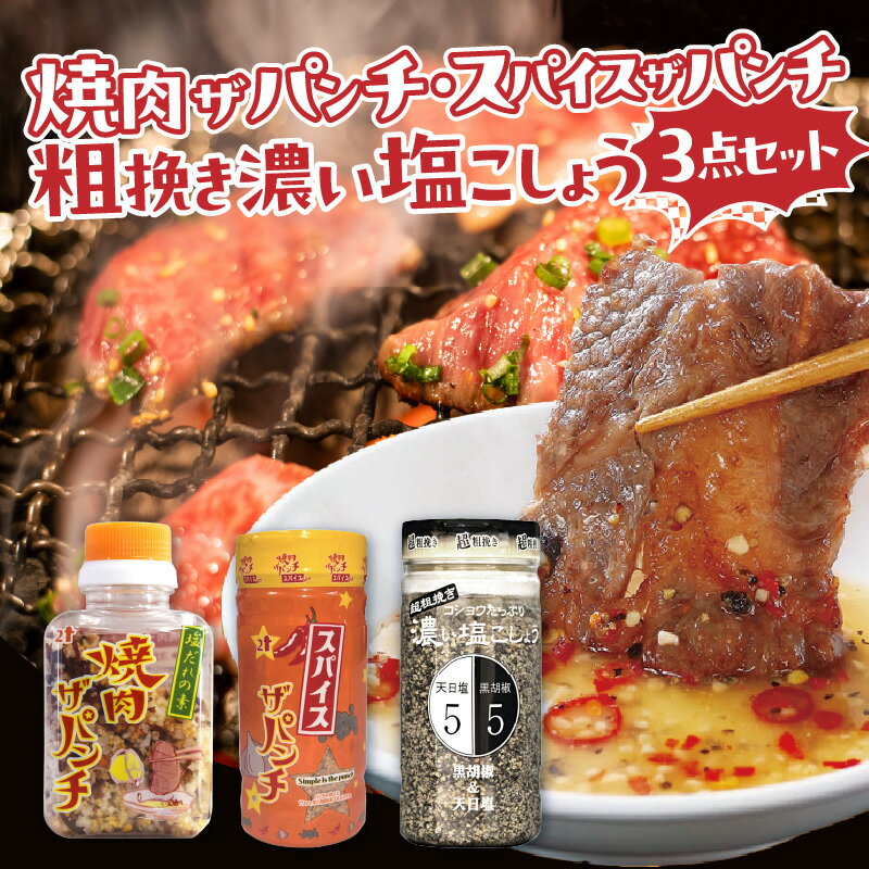 焼肉ザパンチ スパイスザパンチ 粗挽き濃い塩こしょう 3点 セット 調味料 詰め合わせ 料理 調味 スパイス 隠し味 粗びき 塩こしょう たれ アクセント 塩だれの素 ローストガーリック 黒胡椒 スパイシー グルメ お取り寄せ おすすめ 宮崎県 宮崎市 送料無料