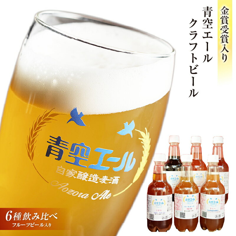 青空エールこだわりのクラフトビール飲み比べ詰め合わせセット〈フルーツビール入り〉6種6本（500mlペットボトル×6本） 青空エール クラフトビール 飲み比べ 詰め合わせ セット フルーツビール お酒 冷蔵 お取り寄せ 宮崎県 宮崎市 送料無料