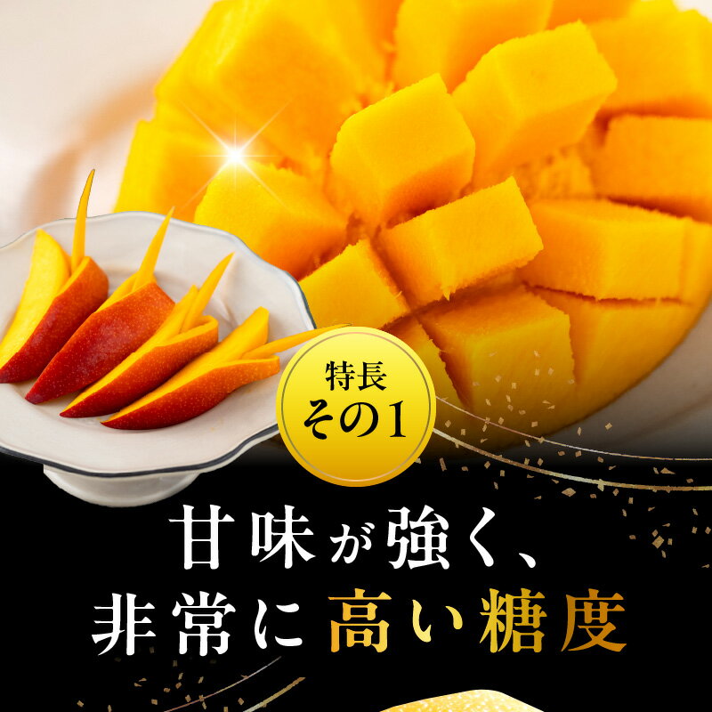 【ふるさと納税】《2026年発送 先行予約》【数量・期間限定】宮崎県産希少種マンゴーパルメロ 計576g以上 1玉入り 果物 フルーツ スイーツ デザート ご褒美 贈り物 贈答 化粧箱 希少 甘み 新鮮 冷蔵 檬栽師組 高糖度 グルメ 宮崎市 送料無料 サムネイル2