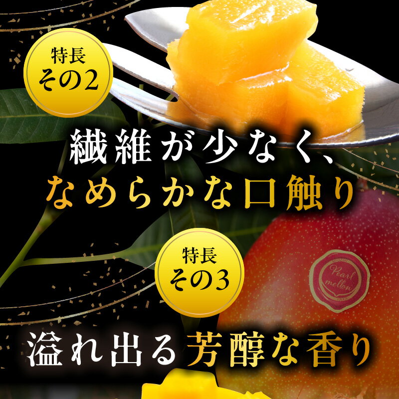 【ふるさと納税】《2026年発送 先行予約》【数量・期間限定】宮崎県産希少種マンゴーパルメロ 計576g以上 1玉入り 果物 フルーツ スイーツ デザート ご褒美 贈り物 贈答 化粧箱 希少 甘み 新鮮 冷蔵 檬栽師組 高糖度 グルメ 宮崎市 送料無料 サムネイル3