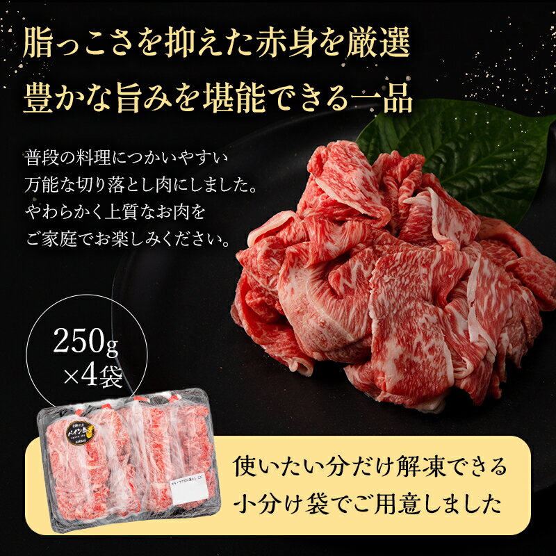 【ふるさと納税】宮崎県産 黒毛和牛 パイン牛 赤身 切り落とし (モモウデ) 250g×4袋 合計1kg お肉 牛肉 食品 牛しゃぶ　すき焼き 万能肉 赤身肉 小分け 宮崎県 宮崎市 送料無料 サムネイル3