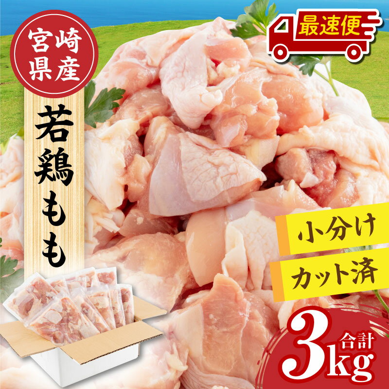 【発送時期が選べる】宮崎県産 若鶏もも肉 300g×10P 計3kg | 肉 鶏肉 若鶏 鶏 鶏もも 鶏もも肉 若鶏もも肉 国産 真空 冷凍 冷凍庫 小分け カット済み BBQ 食品 料理 時短 ふるさと納税 パック 切り身 人気 宮崎県 宮崎市