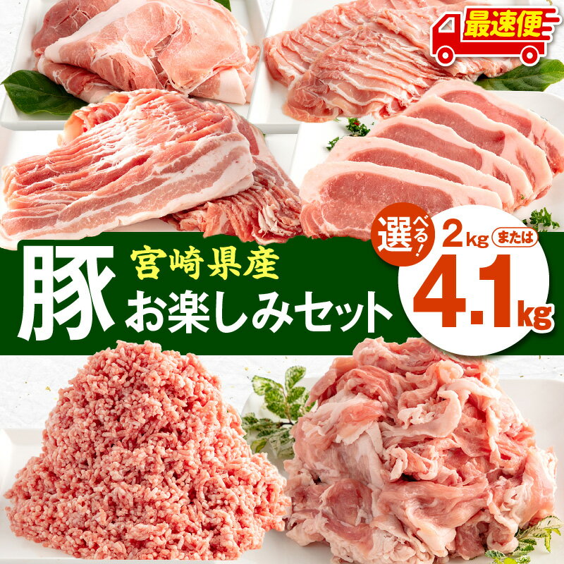 【内容量・発送時期が選べる】宮崎県産豚肉 お楽しみセット ロース バラ モモ とんかつ 切り落とし ミンチ 豚肉 豚 肉 セット 詰め合わせ バラエティ 豚肉セット 豚肉詰め合わせ 普段使い 冷凍 小分け パック ストック 弁当 使い勝手 宮崎県 宮崎市 ふるさと