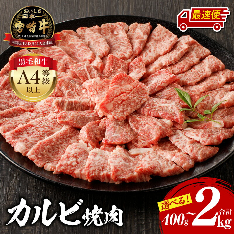 《選べる容量・発送時期・定期便》宮崎牛 カルビ焼肉 牛肉 肉 お肉 精肉 国産牛 ブランド牛 和牛 黒毛和牛 A4 カルビ 牛カルビ 小分け パック 使い勝手 冷凍 焼肉 BBQ アウトドア キャンプ お取り寄せ グルメ おすすめ 人気 宮崎市