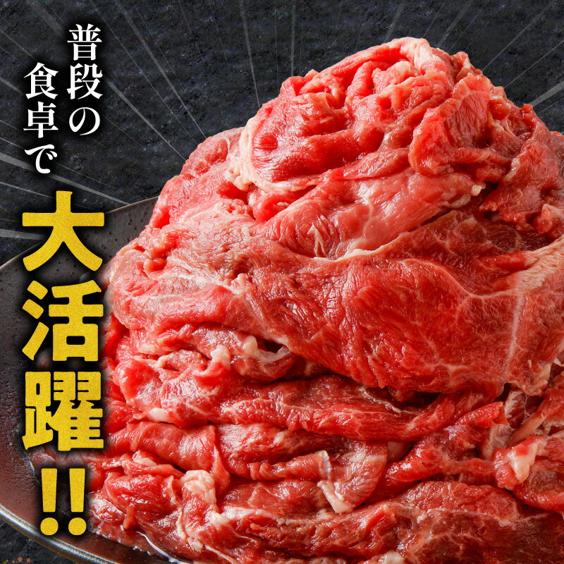【ふるさと納税】《内容量が選べる》 宮崎牛 切り落とし 500g〜2kg スライス カレー ハヤシライス 肉野菜炒め 牛丼 国産牛 黒毛和牛 和牛 国産 宮崎県産 肉 お肉 牛肉 切り落とし牛肉 小分け パック 便利 料理 BBQ 宮崎県 宮崎市 選べる内容量 サムネイル2