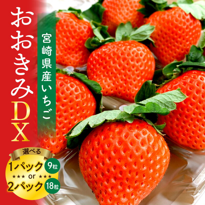 【選べる内容量】《2026年発送 先行予約》【数量・期間限定】宮崎県産 イチゴ「おおきみDX」いちご ストロベリー 大きい 甘い 大粒 大粒いちご 高糖度 果物 フルーツ 果肉 スイーツ デザート 贈り物 贈答 プレゼント 国産 宮崎県産 グルメ 宮崎県 宮崎市