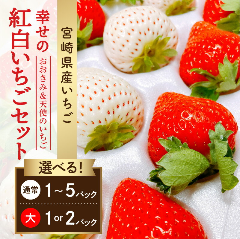 【選べる内容量・大きさ】《2026年発送 先行予約》【数量・期間限定】宮崎県産 イチゴ 幸せの紅白いちごセット おおきみ&天使のいちご いちご ストロベリー 大きい 甘い 大粒 果物 フルーツ スイーツ デザート 贈り物 贈答 プレゼント グルメ 宮崎県 宮崎市
