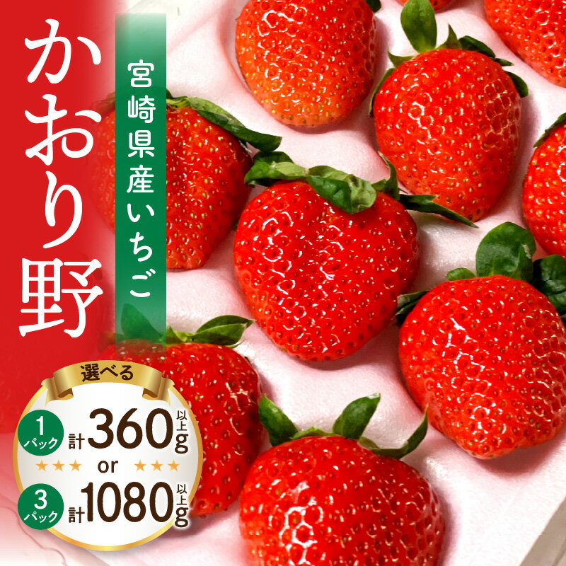 【選べる内容量】《2026年発送 先行予約》【数量・期間限定】宮崎県産イチゴ「かおり野」いちご ストロベリー 果物 フルーツ 果肉 スイーツ デザート 贈り物 贈答 プレゼント 記念日 国産 宮崎県産 グルメ お取り寄せ 宮崎県 宮崎市 送料無料