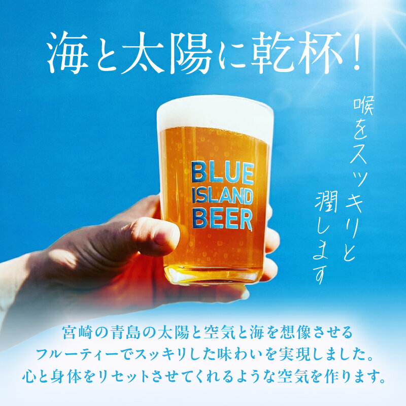 【ふるさと納税】青島サーフエール 12本 セット ビール お酒 発泡酒 酒 アルコール 大麦麦芽 ホップ アルコール4％ サーフィン ゴルフ 海水浴 海 バカンス スポーツ観戦 アウトドア キャンプ グランピング BBQ 夏 祭り 飲み会 宅飲み 宮崎県 宮崎市 送料無料 サムネイル2