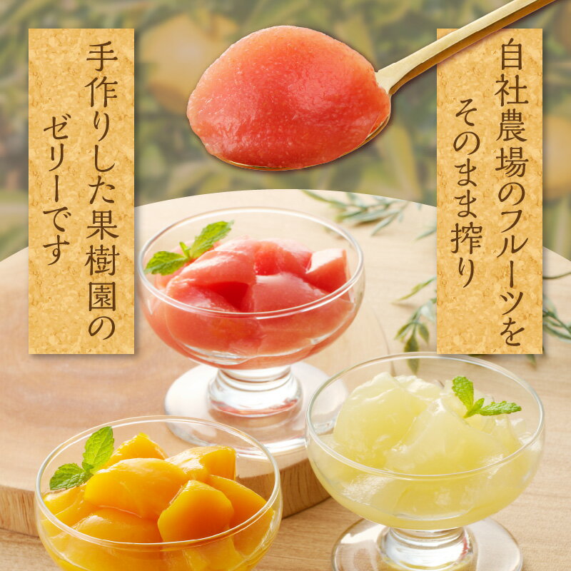 【ふるさと納税】宮崎の雫ゼリー マンゴーゼリー 日向夏ゼリー (各65g×4個) グァバゼリー (65g×2個) ゼリー マンゴー 日向夏 グァバ 果物 フルーツ デザート スイーツ 洋菓子 お菓子 菓子 手土産 贈答 贈り物 ギフト プレゼント 南国スイーツ 宮崎県 宮崎市 送料無料 - 画像2