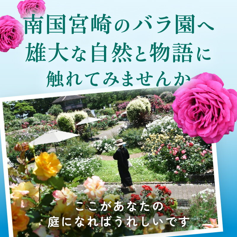 【ふるさと納税】青島 こどものくに バラ園 入場券 5枚 セット オリジナルグッズ付き バラ 花畑 バラの花 花園 入場券 券 入場チケット チケット 観光 旅行 家族旅行 観光旅行 南国旅 自然 花 フラワー 観賞 ご当地 南国観光 観光チケット 宮崎県 宮崎市 送料無料 サムネイル2