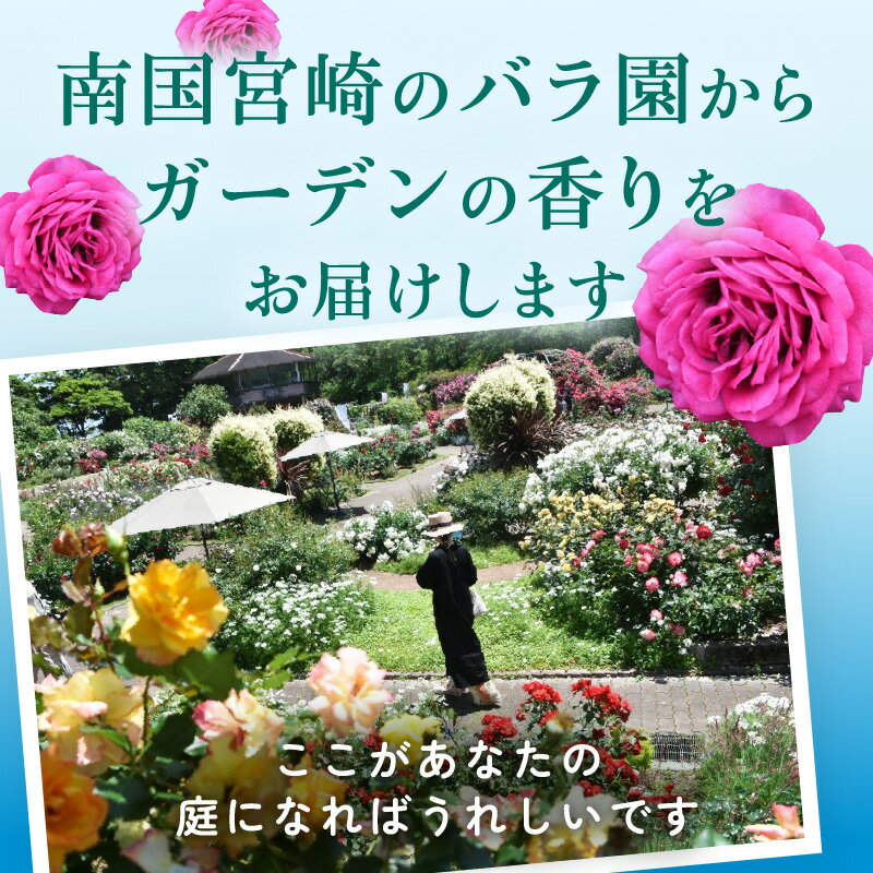 【ふるさと納税】青島 こどものくに バラ園 入場券 5枚 セット ガーデンのサシェ大付き バラ 花畑 バラの花 花園 入場券 券 入場チケット チケット 観光 旅行 家族旅行 観光旅行 南国旅 自然 花 フラワー 観賞 ご当地 南国観光 観光チケット 宮崎県 宮崎市 送料無料 サムネイル2