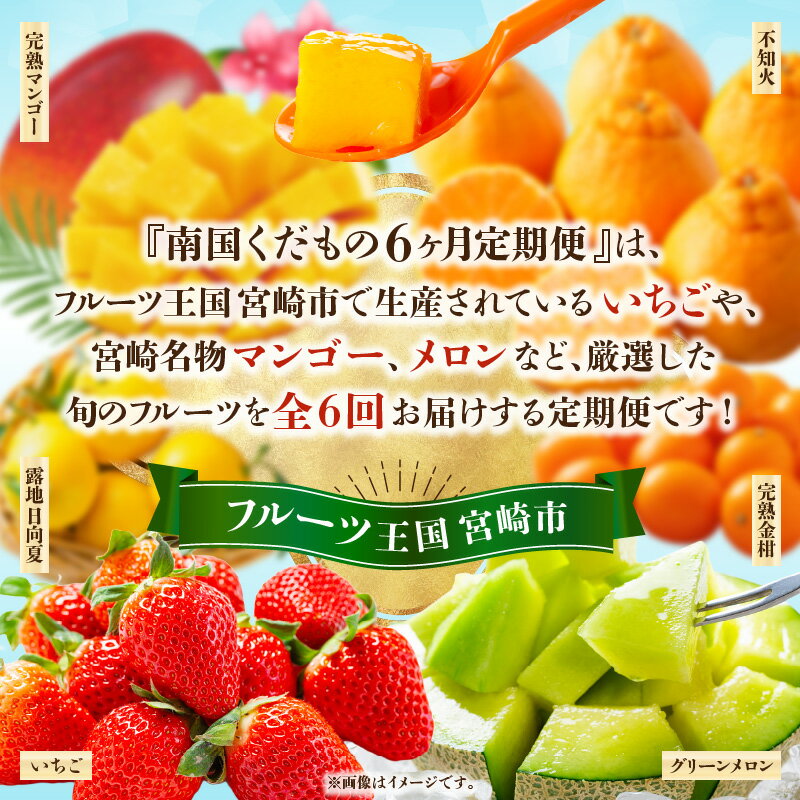 【ふるさと納税】 《2026年発送先行予約》南国くだもの6ヶ月定期便 フルーツ定期便 果物定期便 定期便 定期 旬のフルーツ 旬の果物 果物 フルーツ 旬 厳選 不知火 いちご 金柑 日向夏 マンゴー グリーンメロン 贈り物 ギフト 贈答 ご褒美 グルメ お取り寄せ 宮崎県 宮崎市 サムネイル2