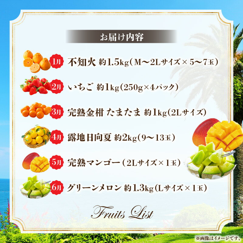 【ふるさと納税】 《2026年発送先行予約》南国くだもの6ヶ月定期便 フルーツ定期便 果物定期便 定期便 定期 旬のフルーツ 旬の果物 果物 フルーツ 旬 厳選 不知火 いちご 金柑 日向夏 マンゴー グリーンメロン 贈り物 ギフト 贈答 ご褒美 グルメ お取り寄せ 宮崎県 宮崎市 サムネイル3