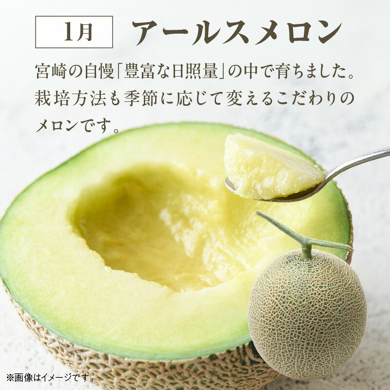 【ふるさと納税】《2026年発送 先行予約》【数量・期間限定】【定期便】宮崎市特産くだもの7ヶ月コース 毎月 果物定期便 フルーツ定期便 果物 フルーツ 南国フルーツ 特産品 メロン 金柑 日向夏 マンゴー 太陽のタマゴ 西瓜 青果物 グルメ お取り寄せ 宮崎県 宮崎市 サムネイル3