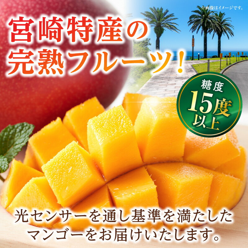 【ふるさと納税】《2026年発送 先行予約》【数量・期間限定】3回定期便 3L2玉太陽のタマゴコース 太陽のタマゴ マンゴー 完熟マンゴー 完熟 定期便 果物 フルーツ 贈り物 ギフト プレゼント 贈答 おすそ分け おもてなし グルメ お取り寄せ 宮崎県 宮崎市 送料無料 サムネイル2