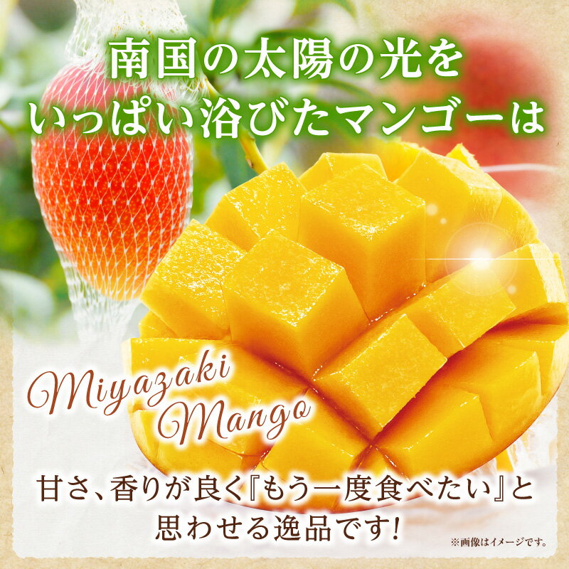 【ふるさと納税】《2026年発送 先行予約》【数量・期間限定】3回定期便 3L2玉太陽のタマゴコース 太陽のタマゴ マンゴー 完熟マンゴー 完熟 定期便 果物 フルーツ 贈り物 ギフト プレゼント 贈答 おすそ分け おもてなし グルメ お取り寄せ 宮崎県 宮崎市 送料無料 サムネイル3