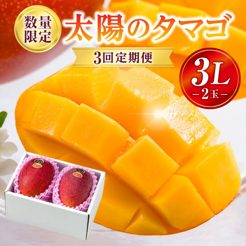 《2026年発送 先行予約》【数量・期間限定】3回定期便 3L2玉太陽のタマゴコース 太陽のタマゴ マンゴー 完熟マンゴー 完熟 定期便 果物 フルーツ 贈り物 ギフト プレゼント 贈答 おすそ分け おもてなし グルメ お取り寄せ 宮崎県 宮崎市 送料無料