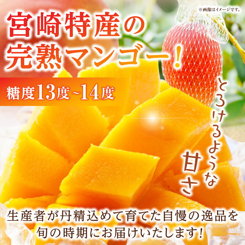 【ふるさと納税】《2026年発送 先行予約》【数量・期間限定】3回定期便 3L2玉完熟マンゴーコース マンゴー 完熟マンゴー 完熟 定期便 果物 フルーツ 贈り物 ギフト プレゼント 贈答 おすそ分け おもてなし グルメ お取り寄せ お取り寄せグルメ おすすめ 宮崎県 宮崎市 サムネイル2