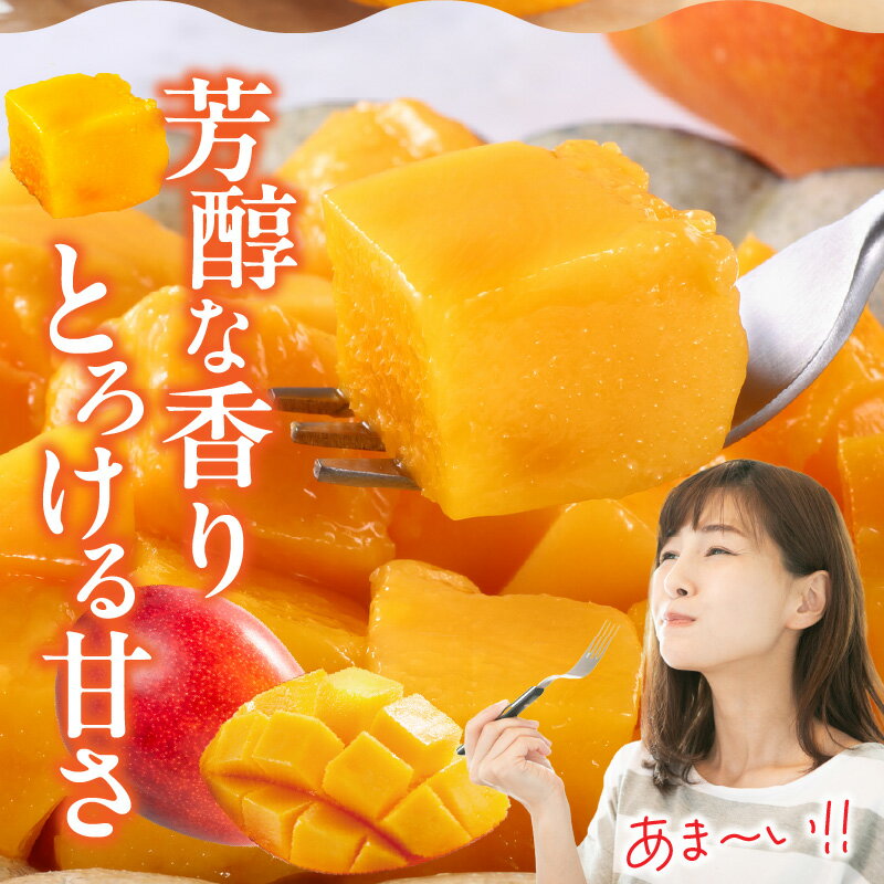 【ふるさと納税】【選べる大きさ・個数】《2026年発送先行予約》【数量・期間限定】宮崎県産完熟マンゴー 果物 フルーツ 完熟マンゴー マンゴー 宮崎県産 国産 青果 青果物 旬 季節 贈答 贈り物 ギフト プレゼント グルメ お取り寄せ おすすめ 人気 宮崎県 宮崎市 送料無料 サムネイル3