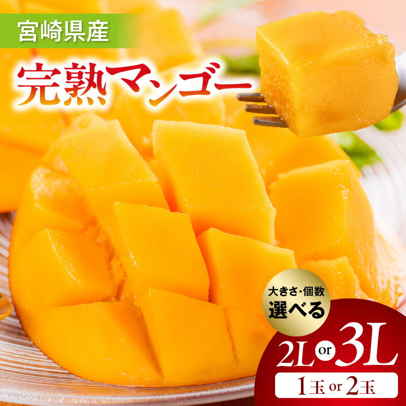 【選べる大きさ・個数】《2026年発送先行予約》【数量・期間限定】宮崎県産完熟マンゴー 果物 フルーツ 完熟マンゴー マンゴー 宮崎県産 国産 青果 青果物 旬 季節 贈答 贈り物 ギフト プレゼント グルメ お取り寄せ おすすめ 人気 宮崎県 宮崎市 送料無料