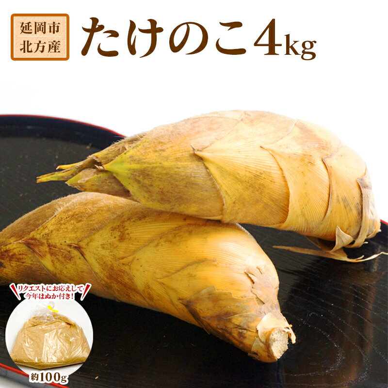 先行予約 延岡市北方産たけのこ 4kg アク抜き用ぬか付 約100g 2026年3月下旬発送開始 たけのこ 新鮮 皮付き 土付き 堀たて その日の内に発送 美味しい 料理に 食品 お取り寄せ 送料無料