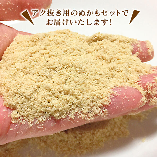 【ふるさと納税】先行予約 延岡市北方産たけのこ 4kg アク抜き用ぬか付 約100g 2026年3月下旬発送開始 たけのこ 新鮮 皮付き 土付き 堀たて その日の内に発送 美味しい 料理に 食品 お取り寄せ 送料無料 - 画像3