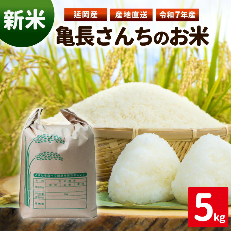 令和7年産 新米 ひのひかり 亀長さんちのお米 5kg 国産 宮崎県 延岡市 お取り寄せ 送料無料