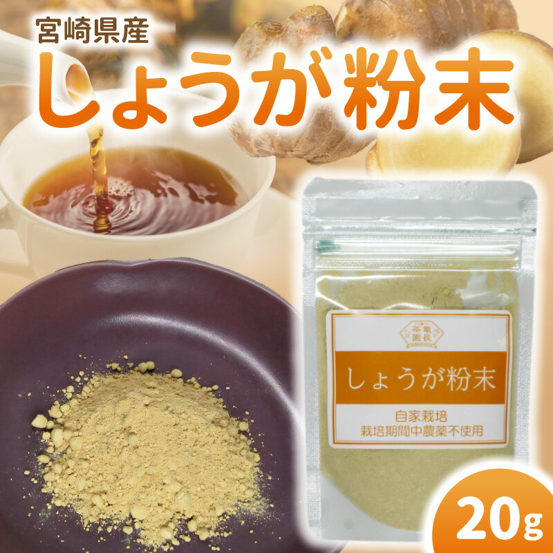 宮崎県産 しょうが粉末 20g 自家栽培 栽培期間中農薬不使用 体を温める効果 免疫力 普段の料理にかかせない しょうが焼き 魚料理 ぎょうざ 紅茶 料理 便利 しょうが 粉末 国産 宮崎県 延岡市 お取り寄せ 送料無料