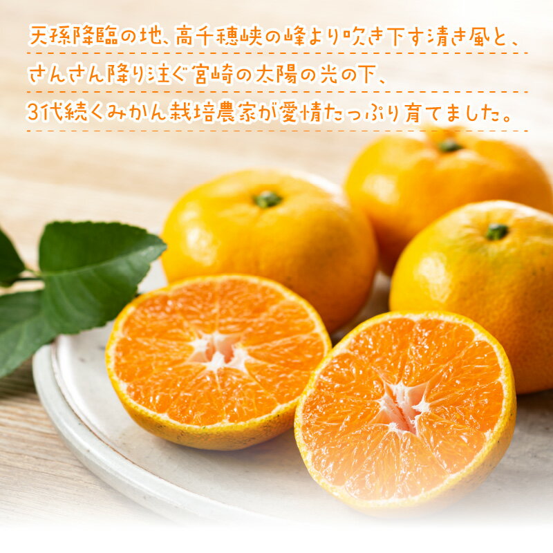 【ふるさと納税】完熟 みかん 選べる 内容量 5kg ～ 10kg S M サイズ まりちゃん農園 マリみかん 宮川早生みかん 宮崎県 延岡市 送料無料 サムネイル2