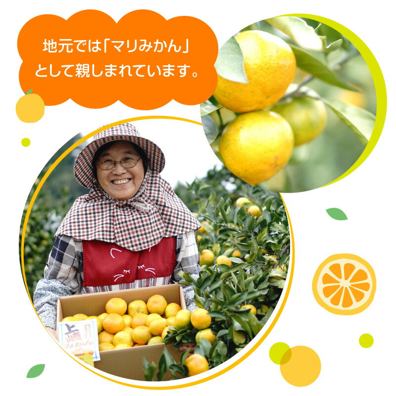 【ふるさと納税】完熟 みかん 選べる 内容量 5kg ～ 10kg S M サイズ まりちゃん農園 マリみかん 宮川早生みかん 宮崎県 延岡市 送料無料 サムネイル3