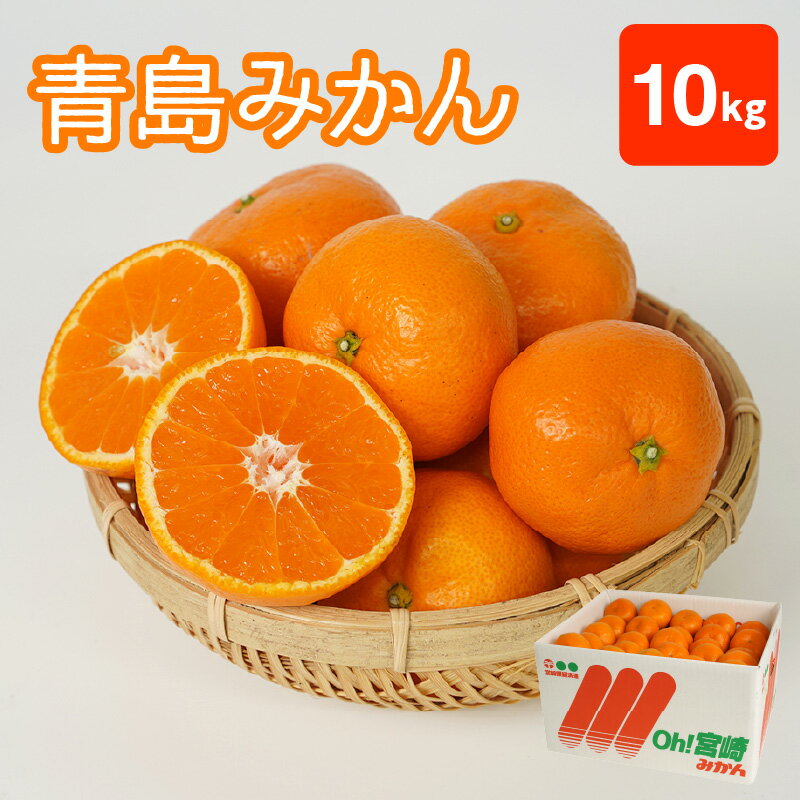 期間限定 数量限定 青島 みかん 10kg フルーツ 果物 マリちゃん農園 マリみかん 酸味 甘さ 天孫降臨の地 高千穂 愛情たっぷり 手摘み 箱詰め 九州 宮崎県 延岡市 お取り寄せ 送料無料