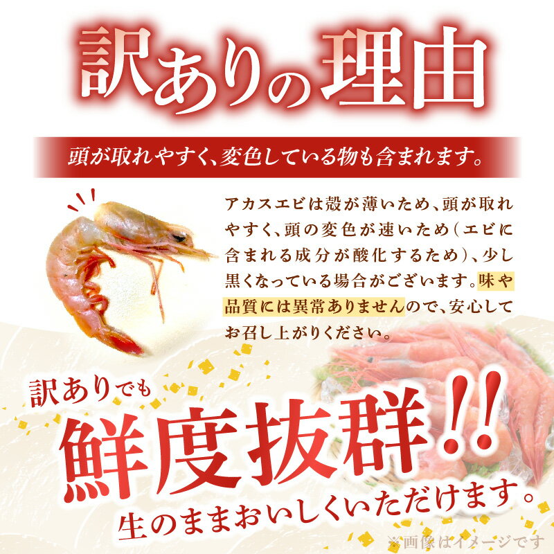 【ふるさと納税】訳あり 甘エビ 鮮度抜群 日向灘 アカスエビ ヒゲナガ海老 天然エビ 容量選べる 1kg 2kg 朱色 甘い ぷりっぷり 食感 生食 お刺身 塩焼き 味噌汁 唐揚げ アレンジ 冷凍 魚介類 海産物 梱包 宮崎県 延岡市 お取り寄せ お取り寄せグルメ 送料無料 - 画像2