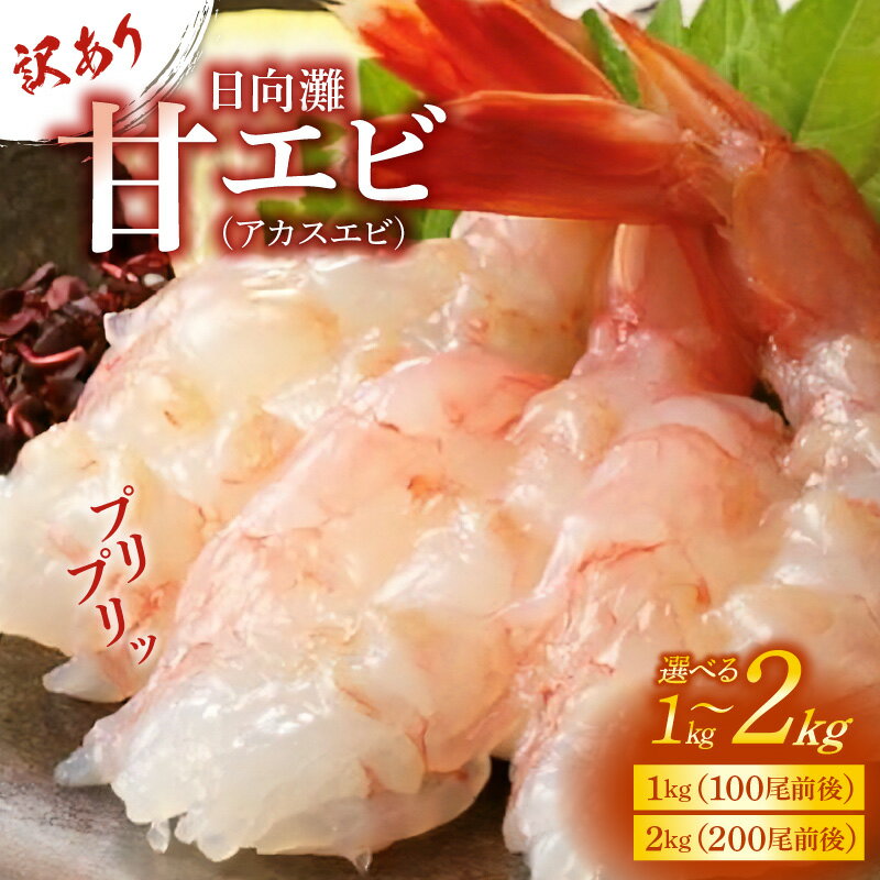 訳あり 甘エビ 鮮度抜群 日向灘 アカスエビ ヒゲナガ海老 天然エビ 容量選べる 1kg 2kg 朱色 甘い ぷりっぷり 食感 生食 お刺身 塩焼き 味噌汁 唐揚げ アレンジ 冷凍 魚介類 海産物 梱包 宮崎県 延岡市 お取り寄せ お取り寄せグルメ 送料無料