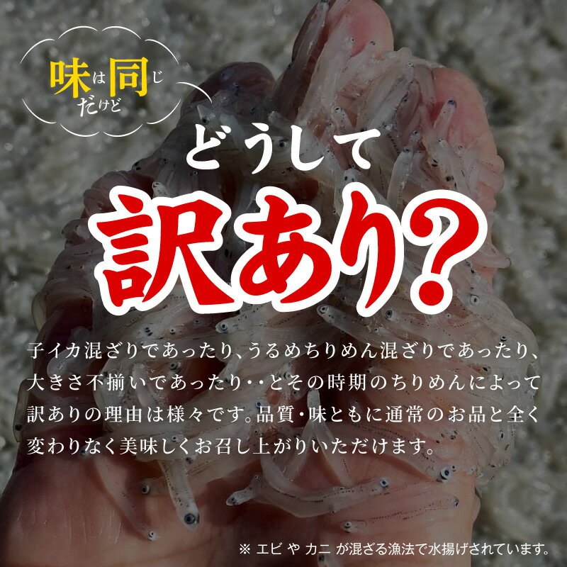 【ふるさと納税】高評価 訳あり しらす 選べる 容量 1kg 2kg 不揃い 大きめ 小さめ ふわっと 塩味 うまみ 新鮮 魚介 海鮮 自然の味 しらす丼 カルシウム ビタミン 栄養 食べやすい 新物 海の素材 冷凍 宮崎県 延岡市 日向灘 お取り寄せ パスタ 送料無料 - 画像2