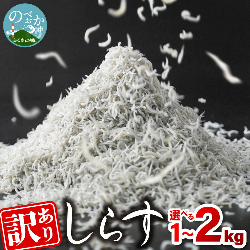 高評価 訳あり しらす 選べる 容量 1kg 2kg 不揃い 大きめ 小さめ ふわっと 塩味 うまみ 新鮮 魚介 海鮮 自然の味 しらす丼 カルシウム ビタミン 栄養 食べやすい 新物 海の素材 冷凍 宮崎県 延岡市 日向灘 お取り寄せ パスタ 送料無料