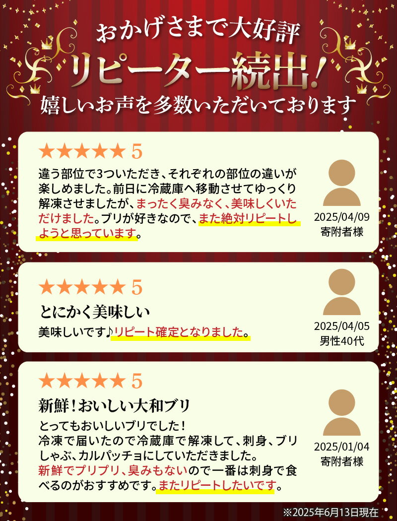【ふるさと納税】リピーター続出 延岡産 大和ブリ 切り身 約 600g 国産 活き締め ブリ 刺身 小分け 冷凍 流水解凍 真空パック ブロック 肉厚 弾力 新鮮 解凍するだけ 簡単 ぶりしゃぶ 海鮮丼 煮物 焼き魚 おかず 食品 宮崎県 延岡市 魚介類 安心 安全 お取り寄せ 送料無料 サムネイル2