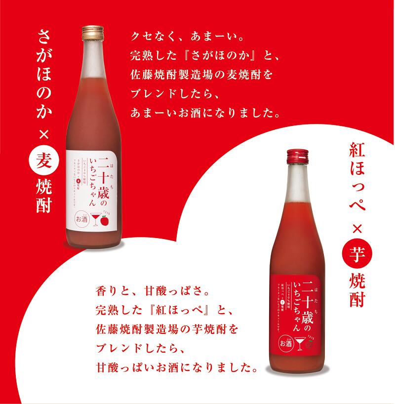 【ふるさと納税】二十歳のいちごちゃん リキュール 飲み比べ 2本セット 贈答用 成人祝い サムネイル3