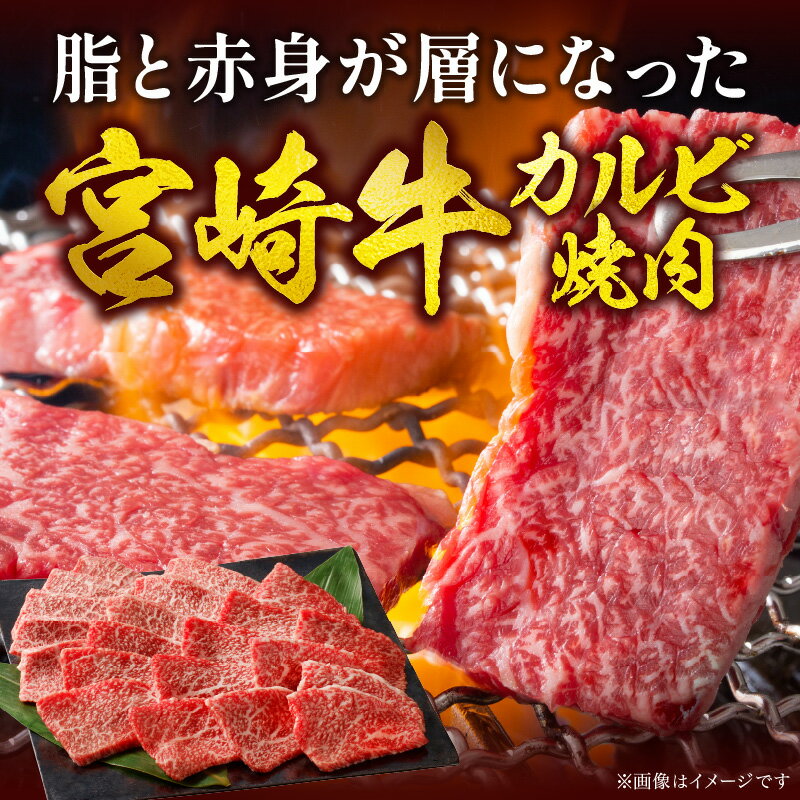 【ふるさと納税】内閣総理大臣賞4連覇 日本一 宮崎牛 カルビ 焼肉 選べる 内容量 400g ～ 2kg スピード配送 最速便 やわらかい 和牛 牛肉 肉 肉質等級 4等級以上 国産 安心 安定品質 ブランド牛 黒毛和牛 赤身 バーベキュー グルメ 冷凍 宮崎県 延岡市 お取り寄せ 送料無料 サムネイル3