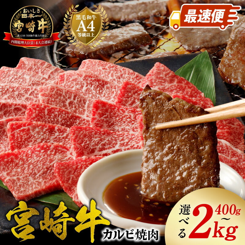 内閣総理大臣賞4連覇 日本一 宮崎牛 カルビ 焼肉 選べる 内容量 400g ～ 2kg スピード配送 最速便 やわらかい 和牛 牛肉 肉 肉質等級 4等級以上 国産 安心 安定品質 ブランド牛 黒毛和牛 赤身 バーベキュー グルメ 冷凍 宮崎県 延岡市 お取り寄せ 送料無料