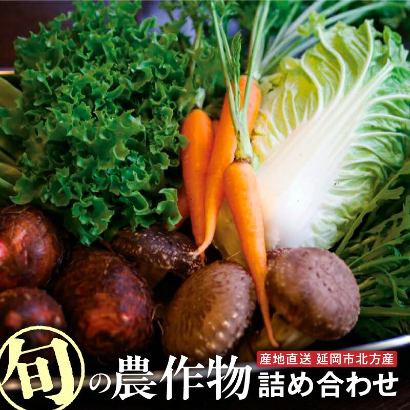 北方産 旬の農作物詰め合わせセット 野菜 果物 お茶 宮崎県 延岡市