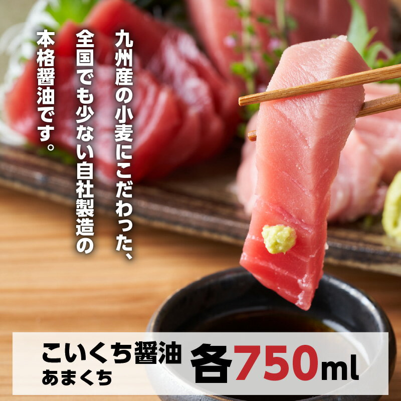 【ふるさと納税】味噌 醤油 酢 セット 計8品 長期熟成 本醸造 国産原料 濃口醤油 甘口醤油 甘露醤油 ゆずぽん酢 玉子かけ用 かけ醤油 お味噌2種 ドレッシング 宮崎県 延岡市 渡邊味噌醤油醸造 送料無料 サムネイル3
