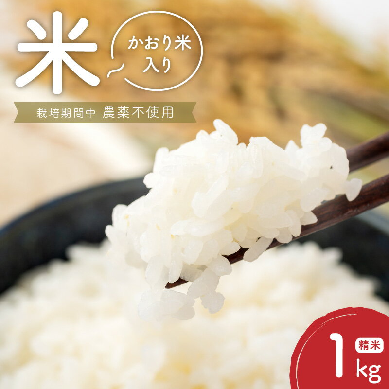 米 1kg 精米 自家生産 栽培期間中 農薬 不使用 白米 もち米 かおり米 ブレンド 風味 食感 自社生産 お米 ご飯 おにぎり おむすび お弁当 弁当 炊き込みご飯 食品 食べ物 瀧本農産 お取り寄せ お取り寄せグルメ 宮崎県 延岡市 送料無料