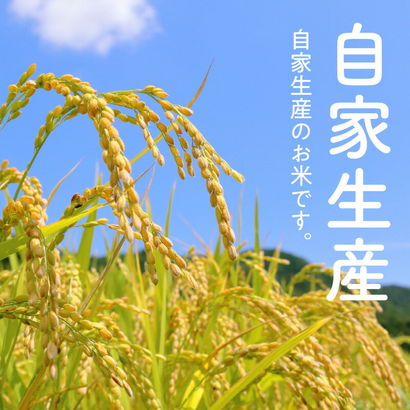 【ふるさと納税】米 5kg 精米 自家生産 栽培期間中 農薬 不使用 白米 もち米 かおり米 ブレンド 風味 食感 自社生産 お米 ご飯 おにぎり おむすび お弁当 弁当 炊き込みご飯 食品 食べ物 瀧本農産 お取り寄せ お取り寄せグルメ 宮崎県 延岡市 送料無料 - 画像2