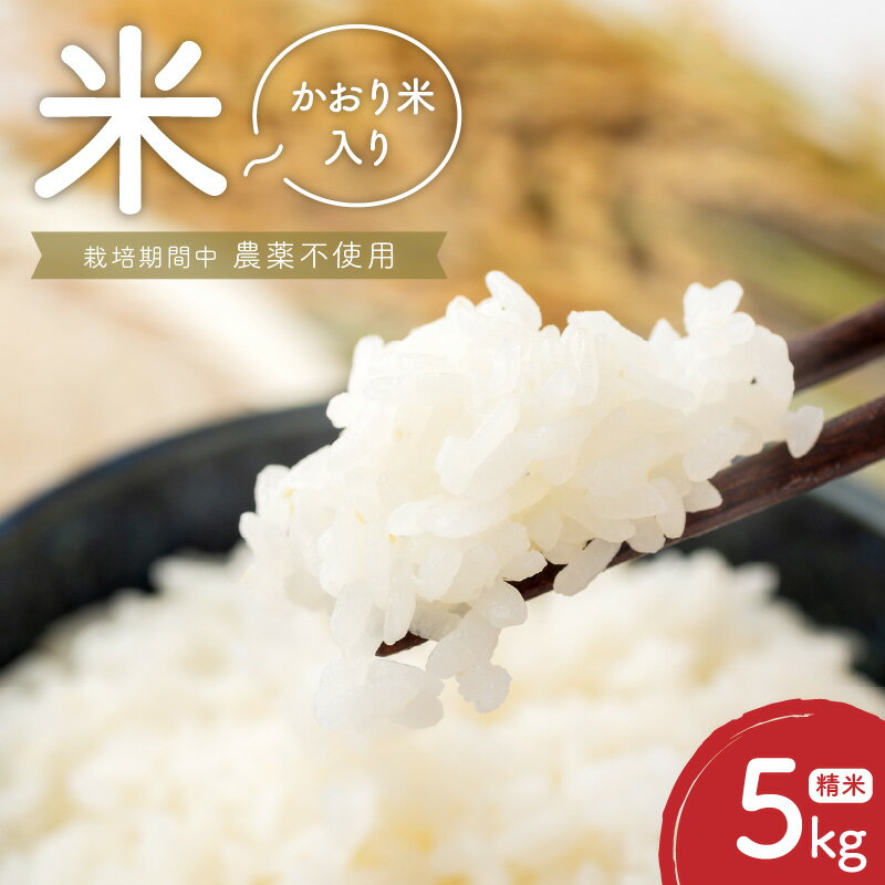 米 5kg 精米 自家生産 栽培期間中 農薬 不使用 白米 もち米 かおり米 ブレンド 風味 食感 自社生産 お米 ご飯 おにぎり おむすび お弁当 弁当 炊き込みご飯 食品 食べ物 瀧本農産 お取り寄せ お取り寄せグルメ 宮崎県 延岡市 送料無料