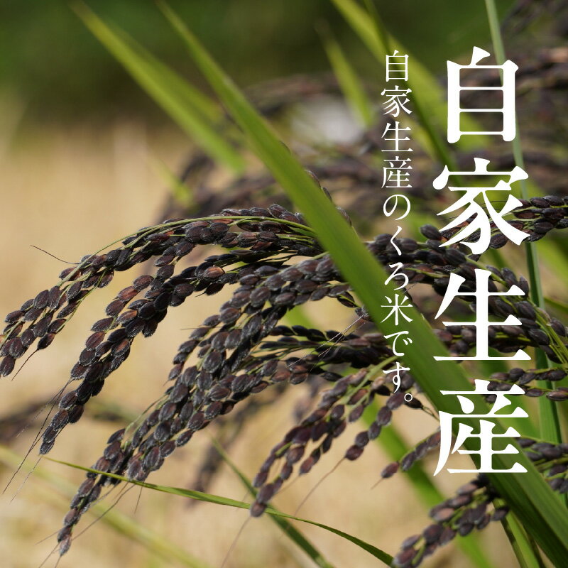 【ふるさと納税】米 くろ米 500g 玄米 自家生産 栽培期間中 農薬 不使用 レターパック配送 自社生産 食品 食べ物 ご飯 おにぎり おむすび お米 お弁当 お米 瀧本農産 お取り寄せ 宮崎県 延岡市 送料無料 - 画像2