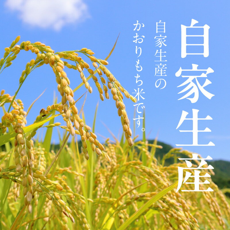 【ふるさと納税】米 かおりもち米 500g 自家生産 栽培期間中 農薬 不使用 自社生産 精米 食品 食べ物 お餅 お雑煮 おこわ だんご おはぎ 餅つき 赤飯 ちまき 炊き込みご飯 瀧本農産 お取り寄せ 宮崎県 延岡市 送料無料 - 画像2